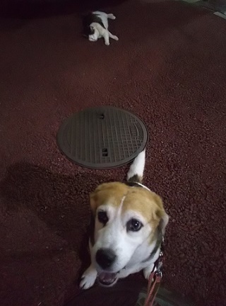わかめちゃんとスー.jpg